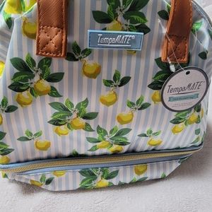 Insulated lunch bag